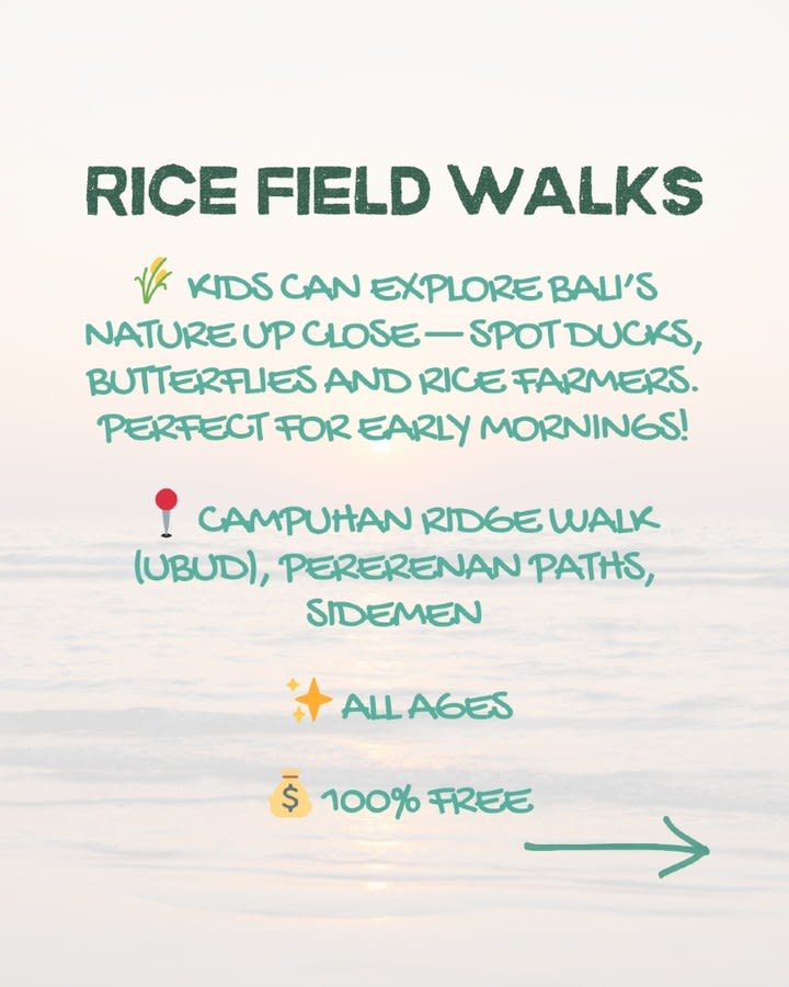 Affordable Family Fun in Bali: Beach Days, Baby Turtles, and Local Treats — image 7