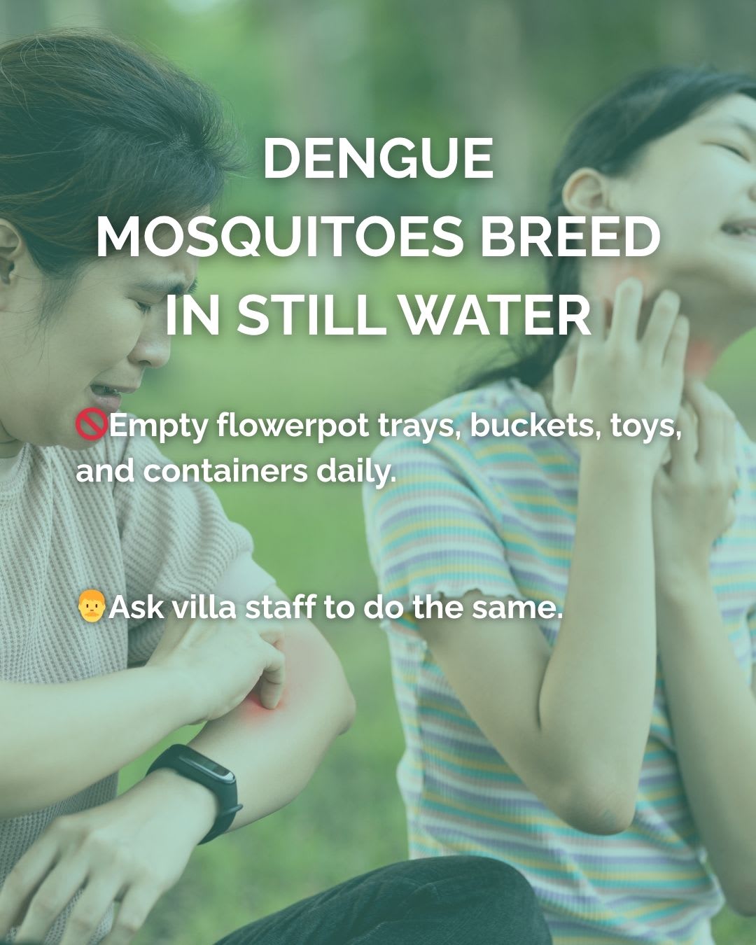 Keep Your Family Dengue-Free in Bali — image 5