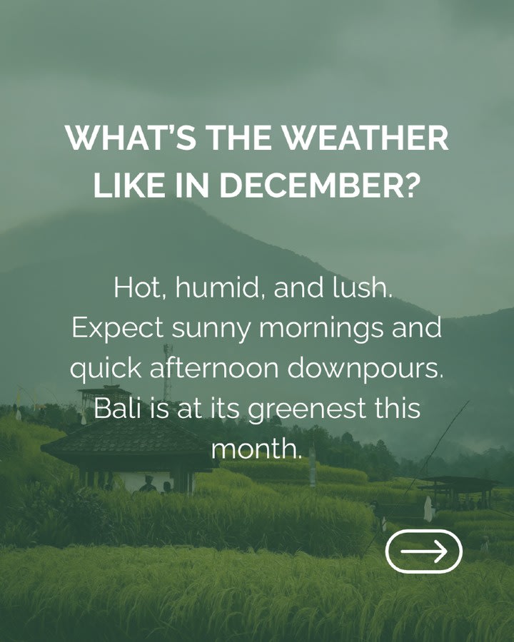 Bali in December: A Family Guide to Enjoying the Rainy Season — image 2