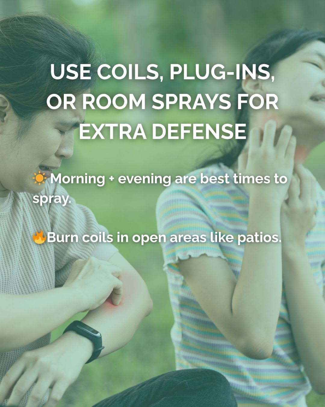 Keep Your Family Dengue-Free in Bali — image 6