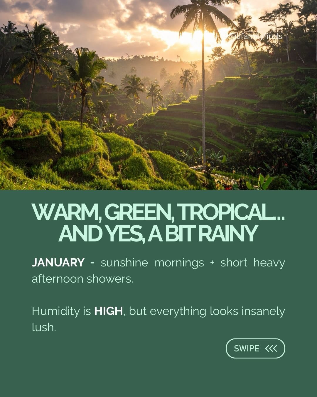 Planning a Family Trip to Bali in January 2026 — image 2