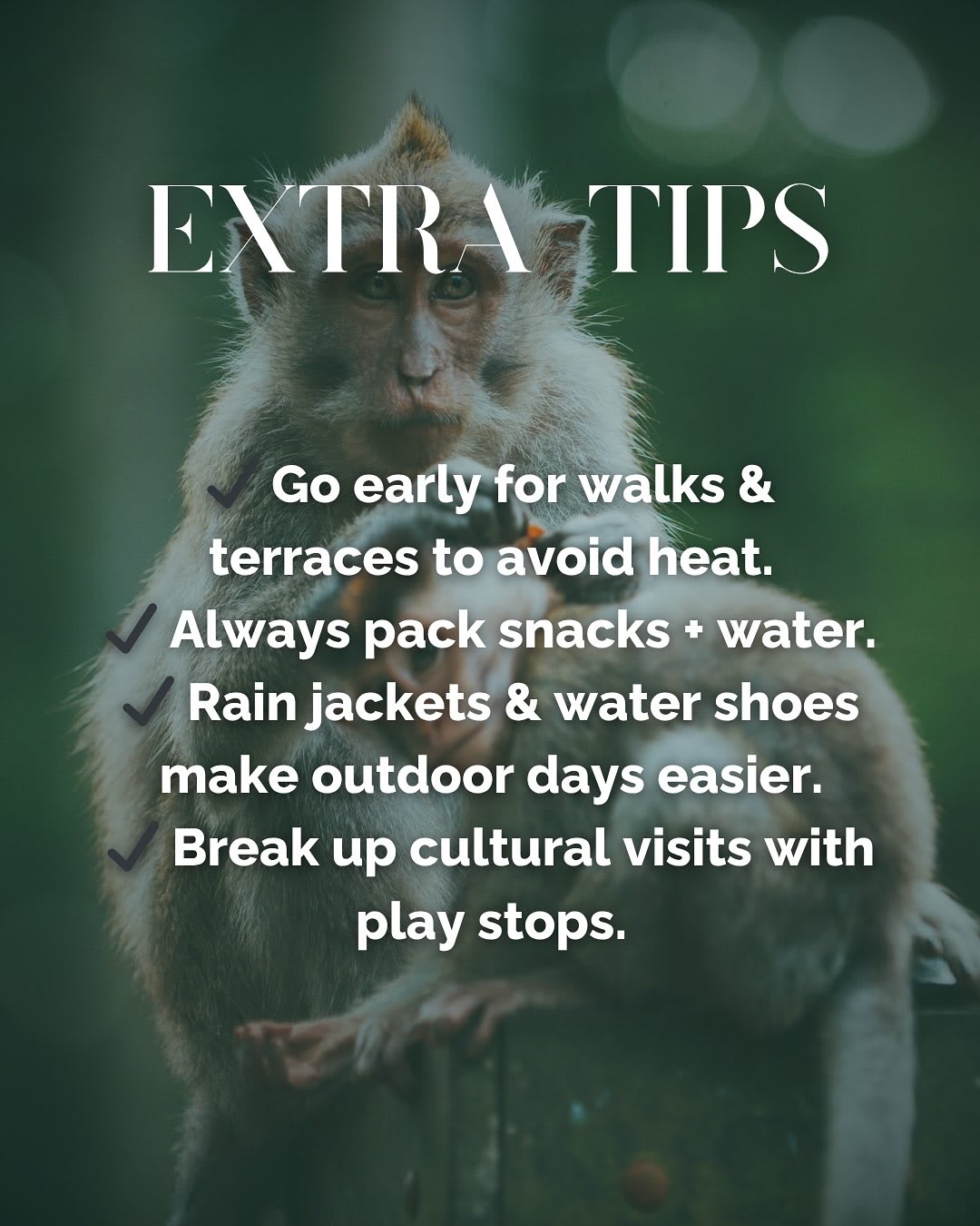 Discover Family Adventures in Ubud Beyond Rice Terraces — image 17