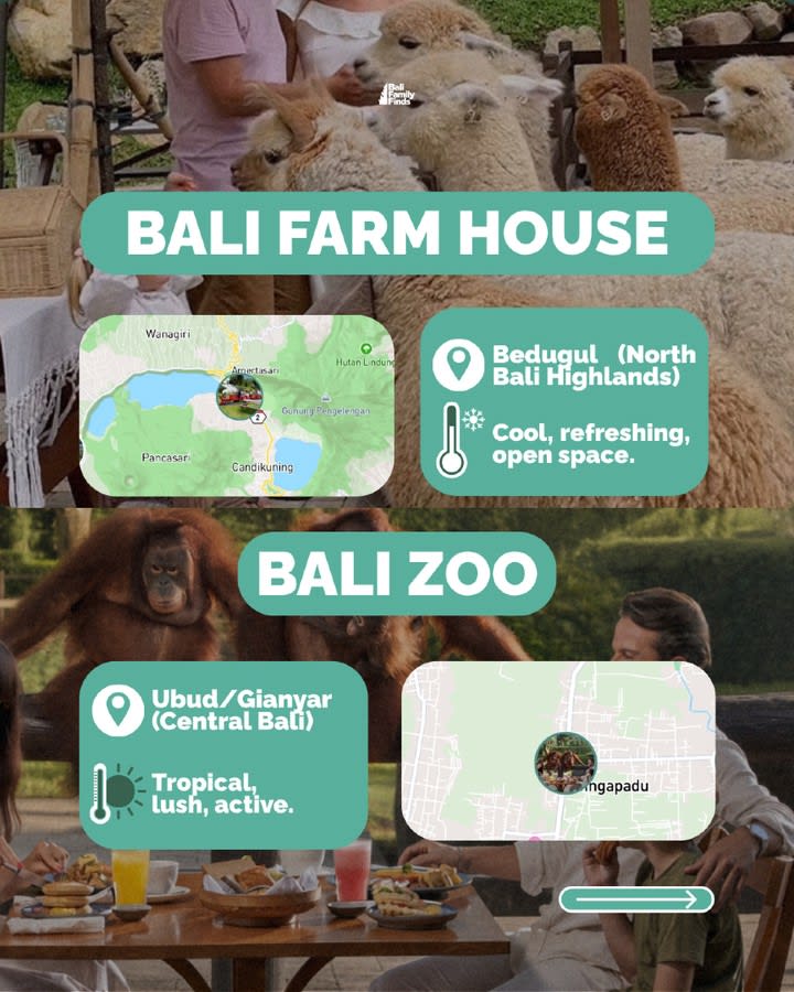 Exploring Bali Zoo and Bali Farm House with Your Family — image 3