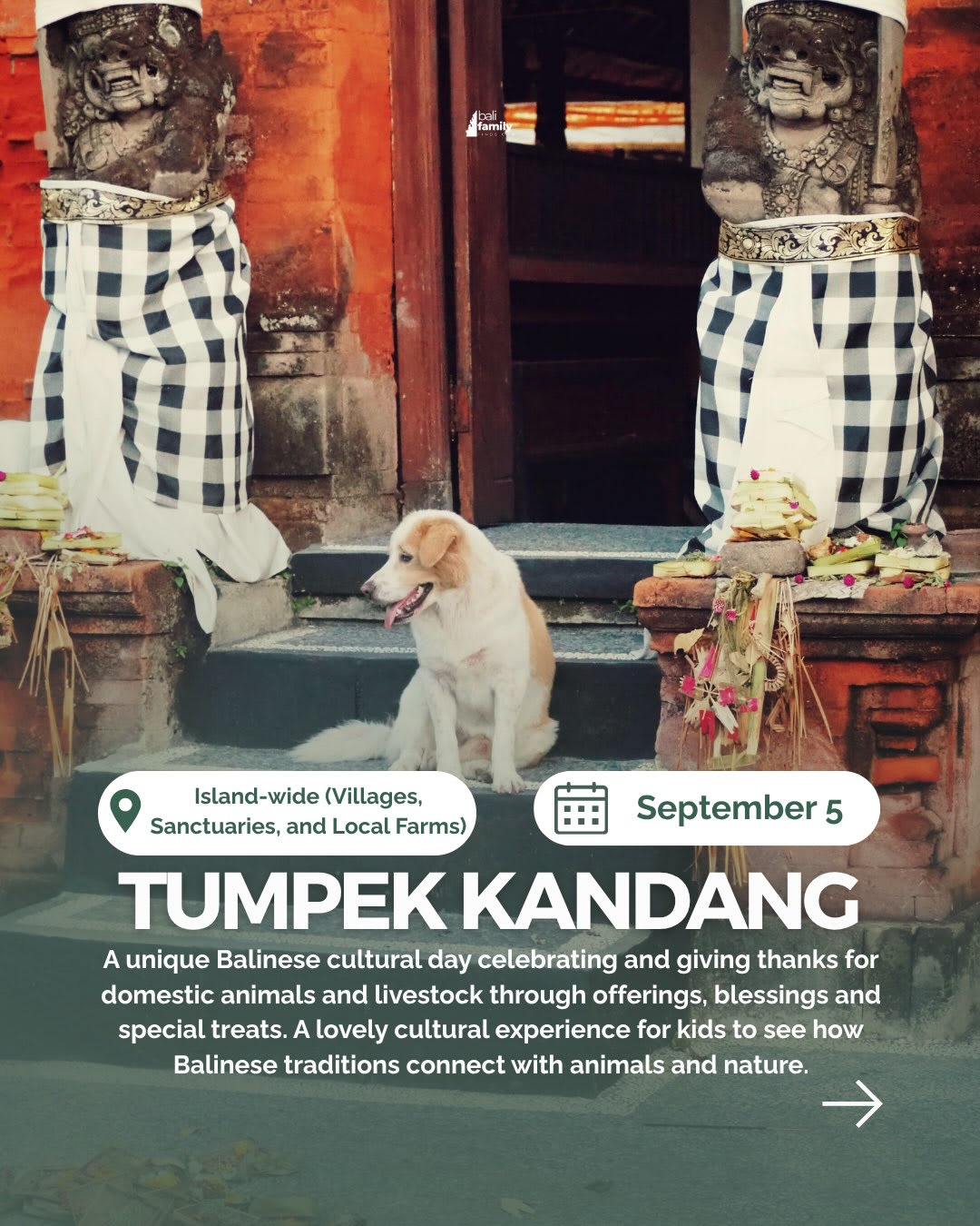 Exciting September Events for Families in Bali — image 4