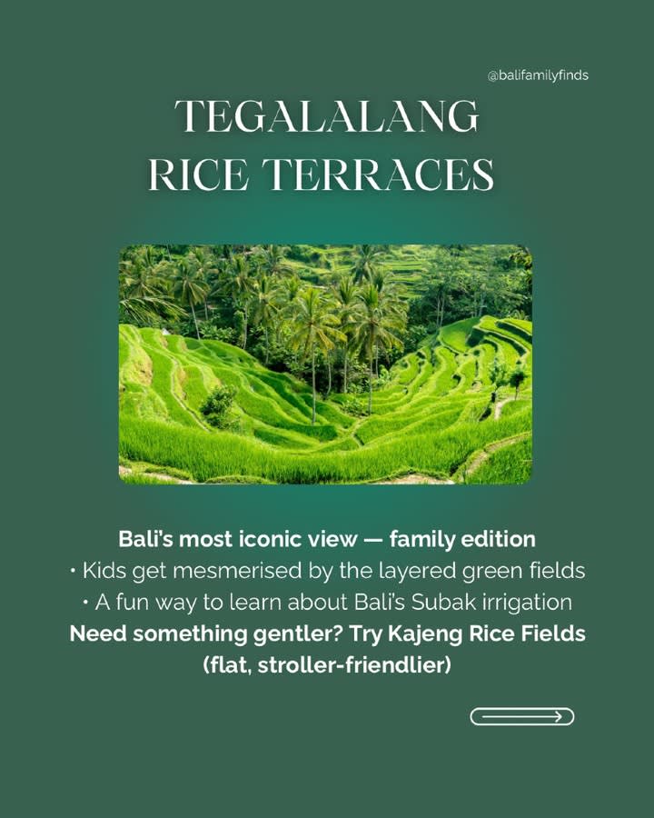 Family Adventures in Ubud: Must-Do Activities — image 3
