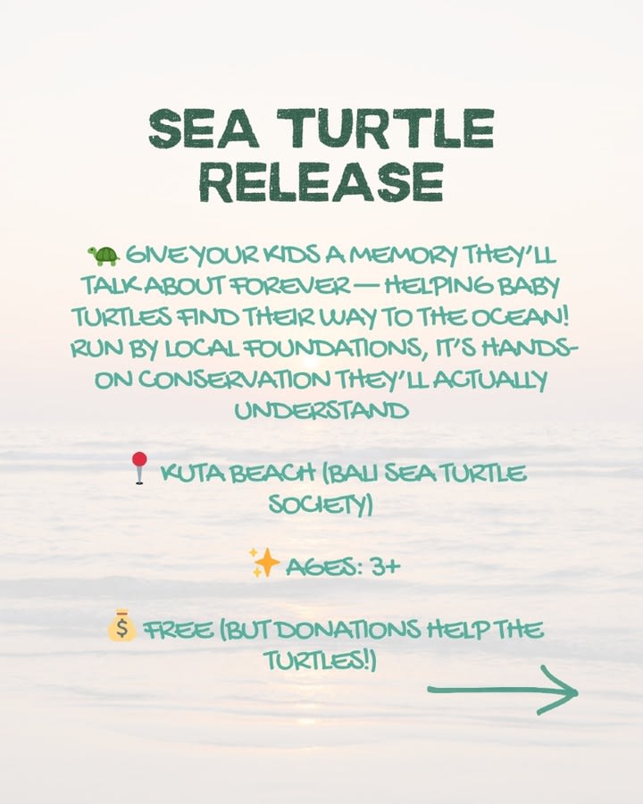 Affordable Family Fun in Bali: Beach Days, Baby Turtles, and Local Treats — image 3