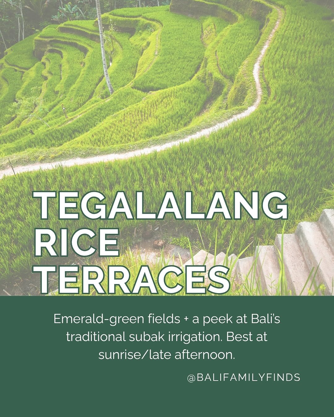 Discover Family Adventures in Ubud Beyond Rice Terraces — image 7