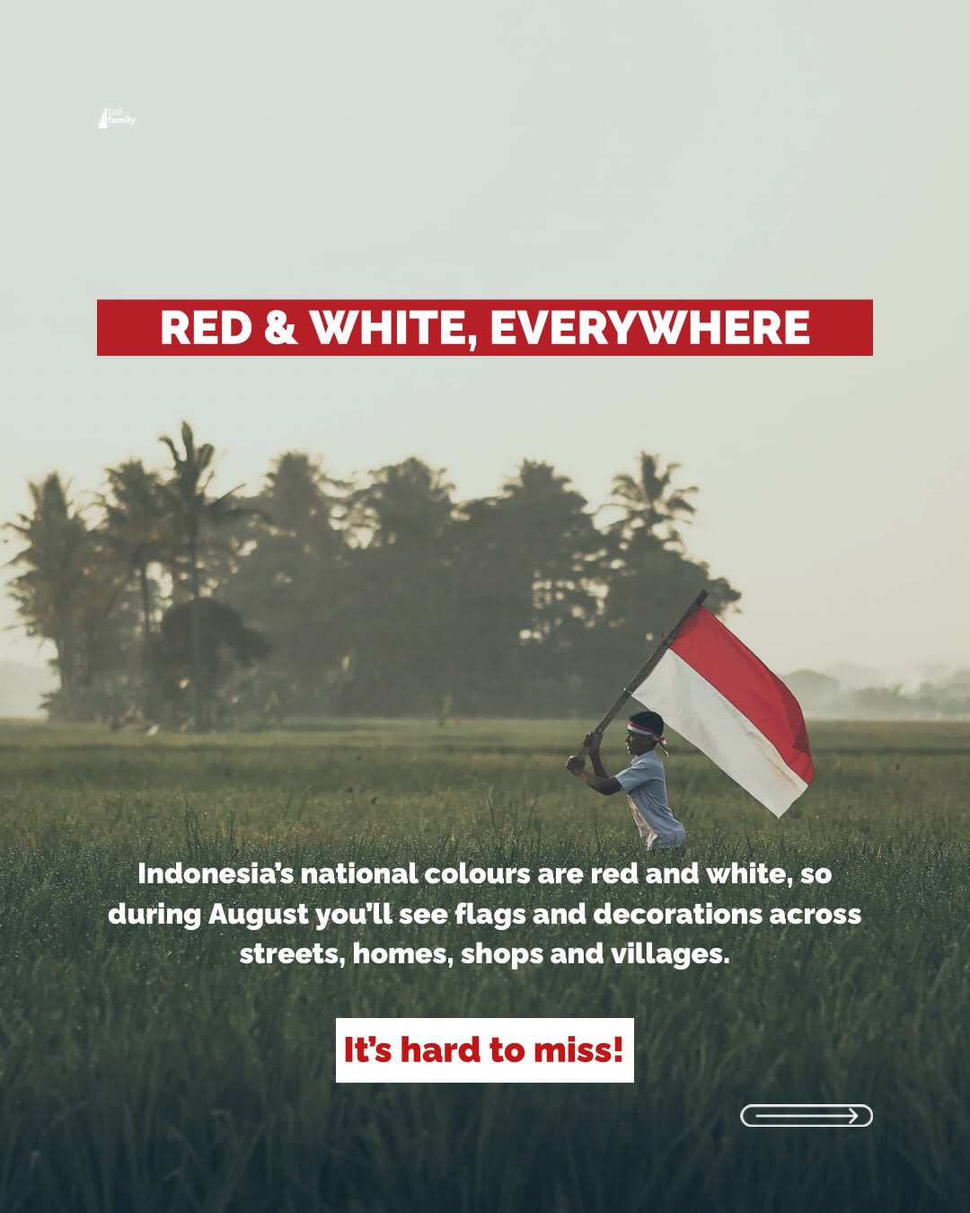 Experience Indonesia's Independence Day Celebrations in Bali — image 3