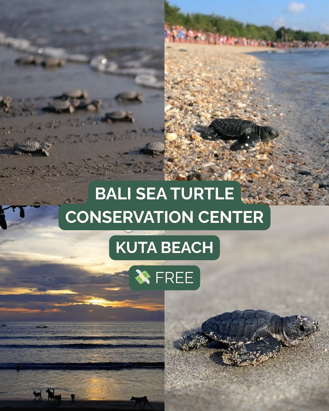 9 Free Family-Friendly Places to Explore in Bali — image 8