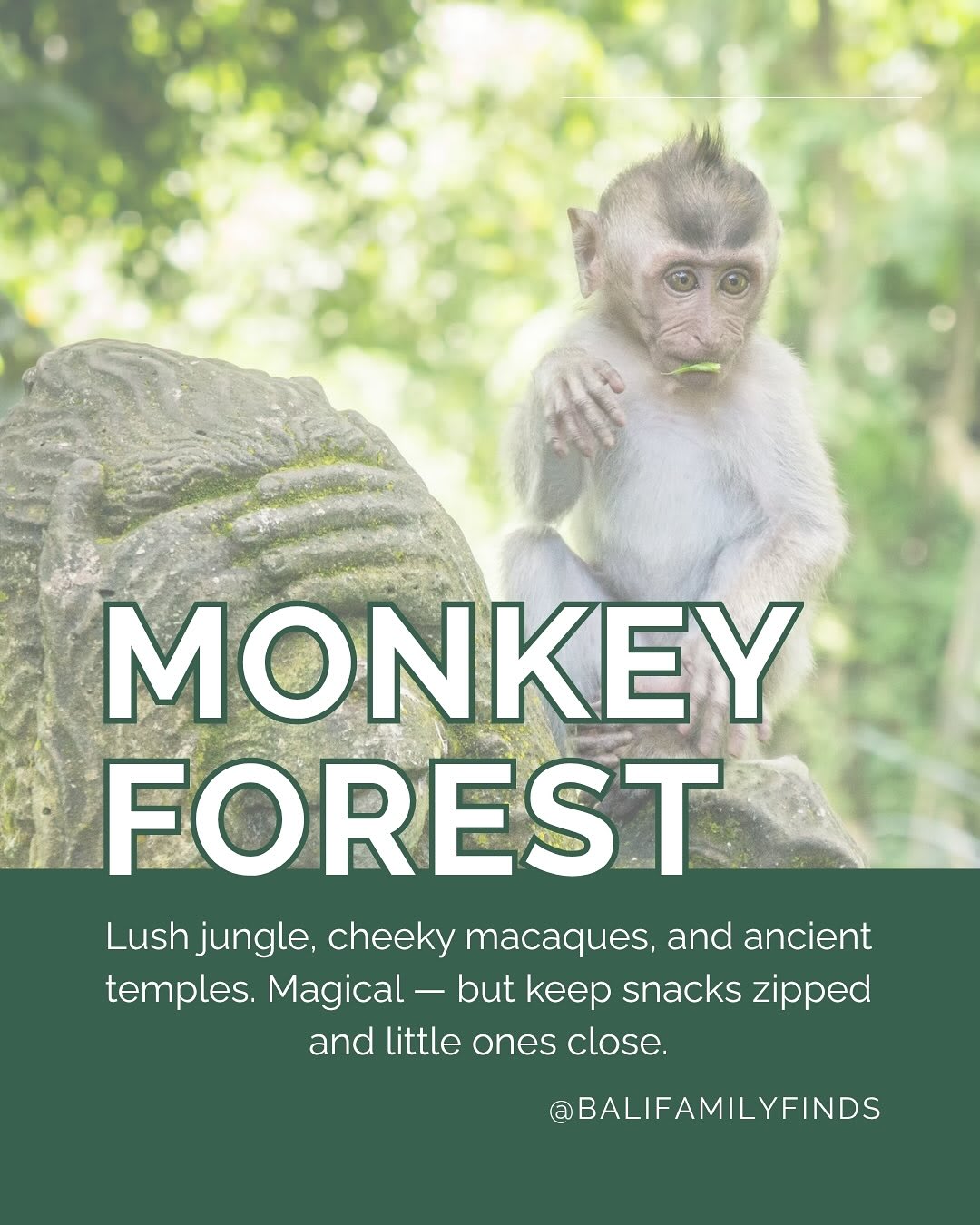 Discover Family Adventures in Ubud Beyond Rice Terraces — image 3