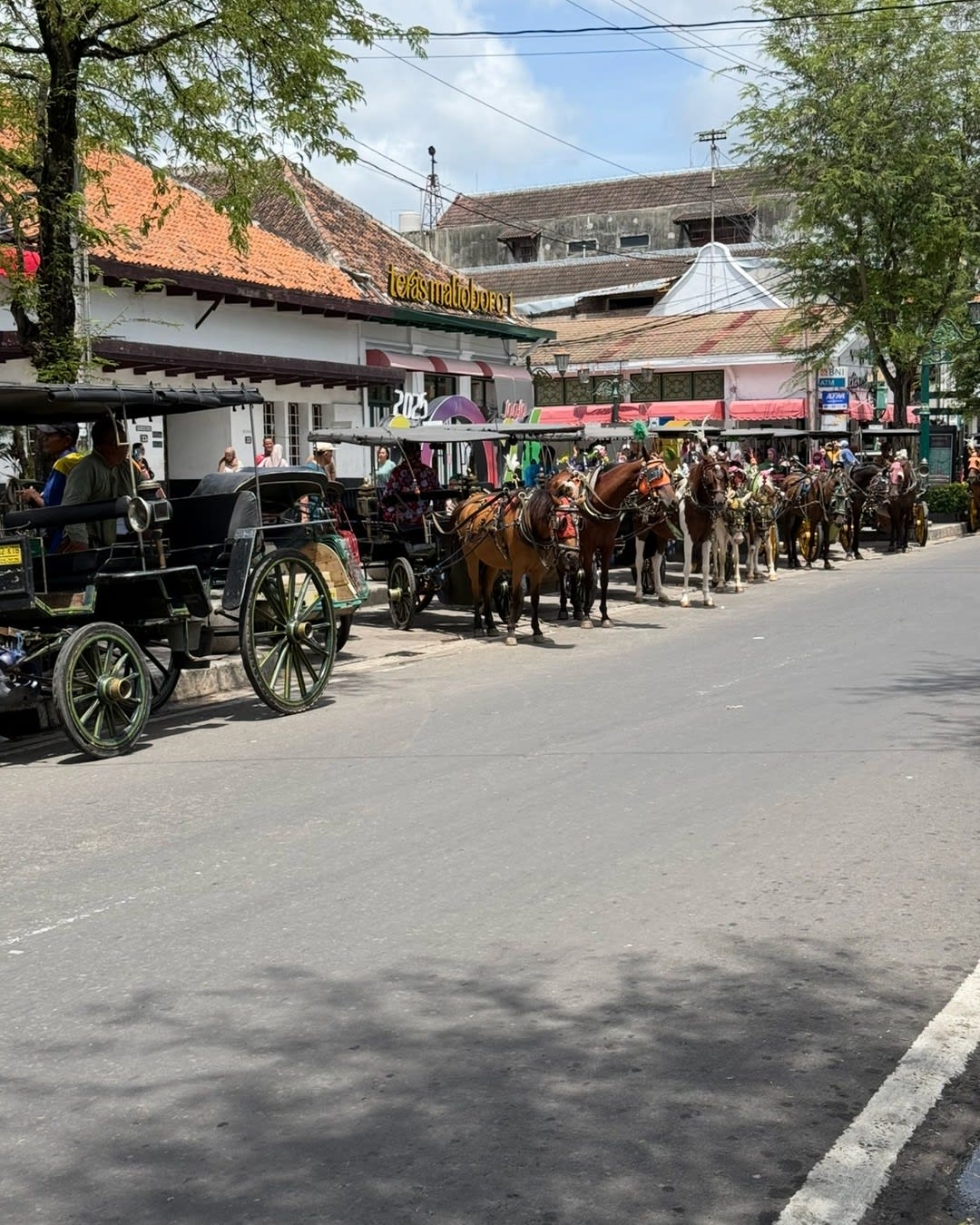 Understanding the Role of Horse and Cart in Bali’s Communities: A Culturally Sensitive Journey