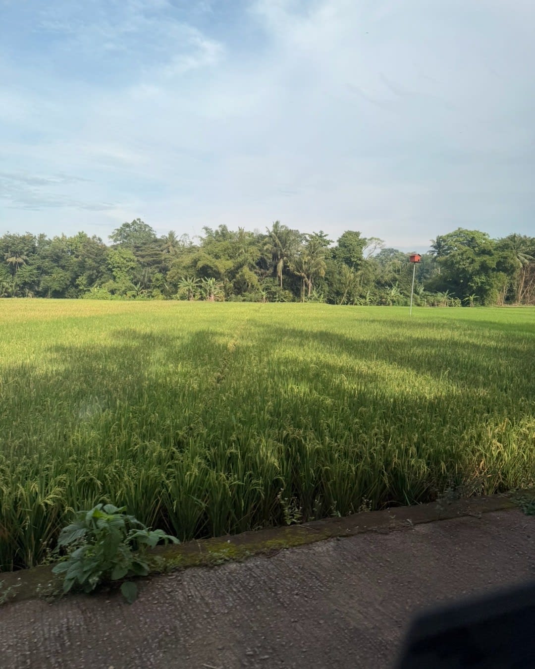 Java vs. Bali: Discovering Space, Serenity, and a Different Side of Indonesia