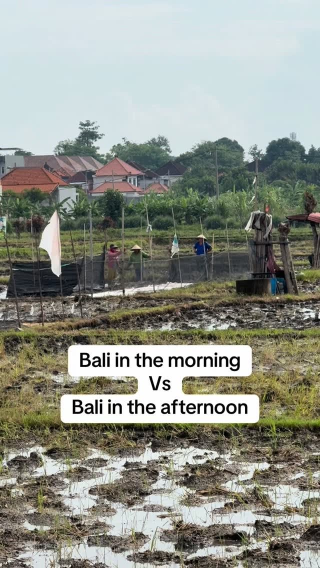 Bali Weather: Expect the Unexpected in Paradise