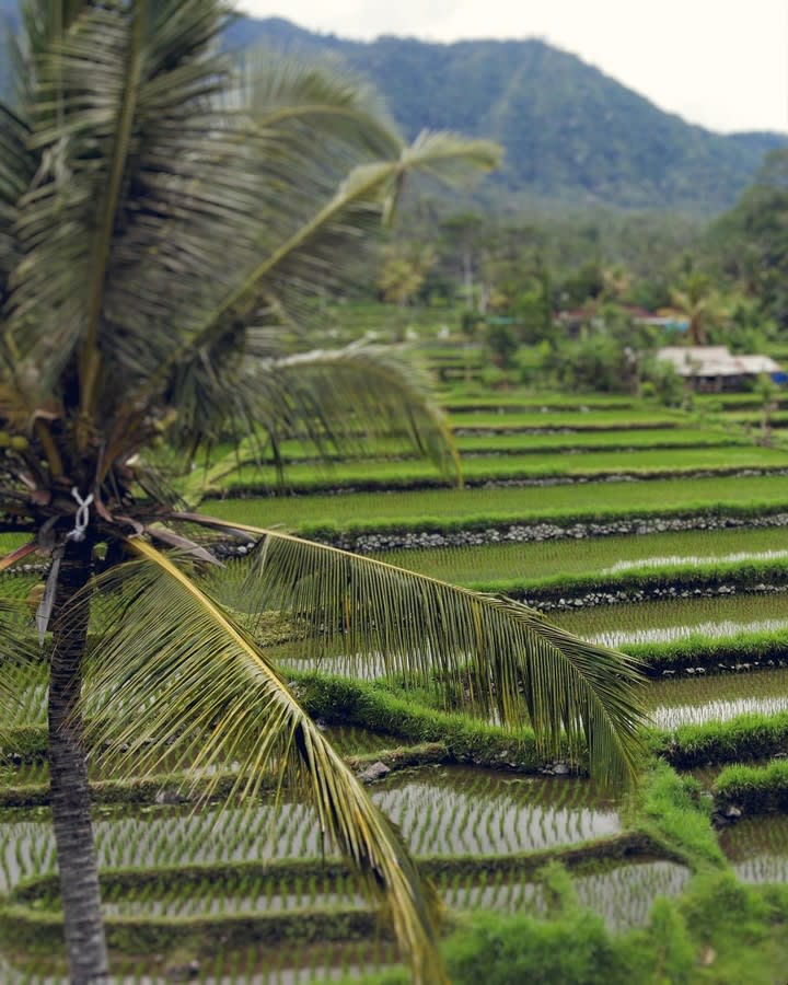 Essential Health Tips for Bali-Bound Parents: Ensure a Safe and Joyous Family Vacation