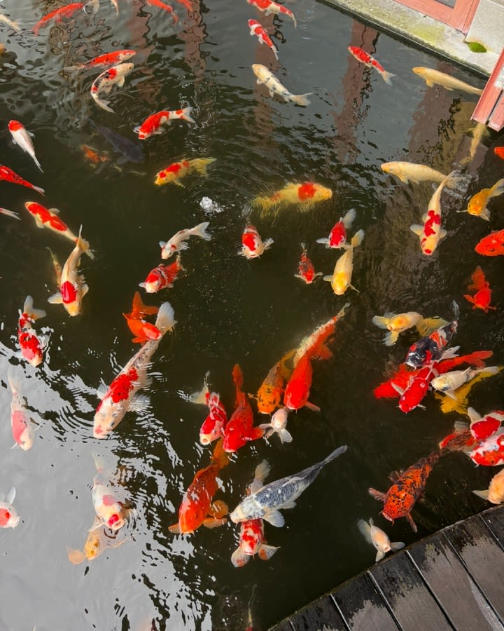 Mesmerizing Bali Waterfalls: How Long Would You Watch?