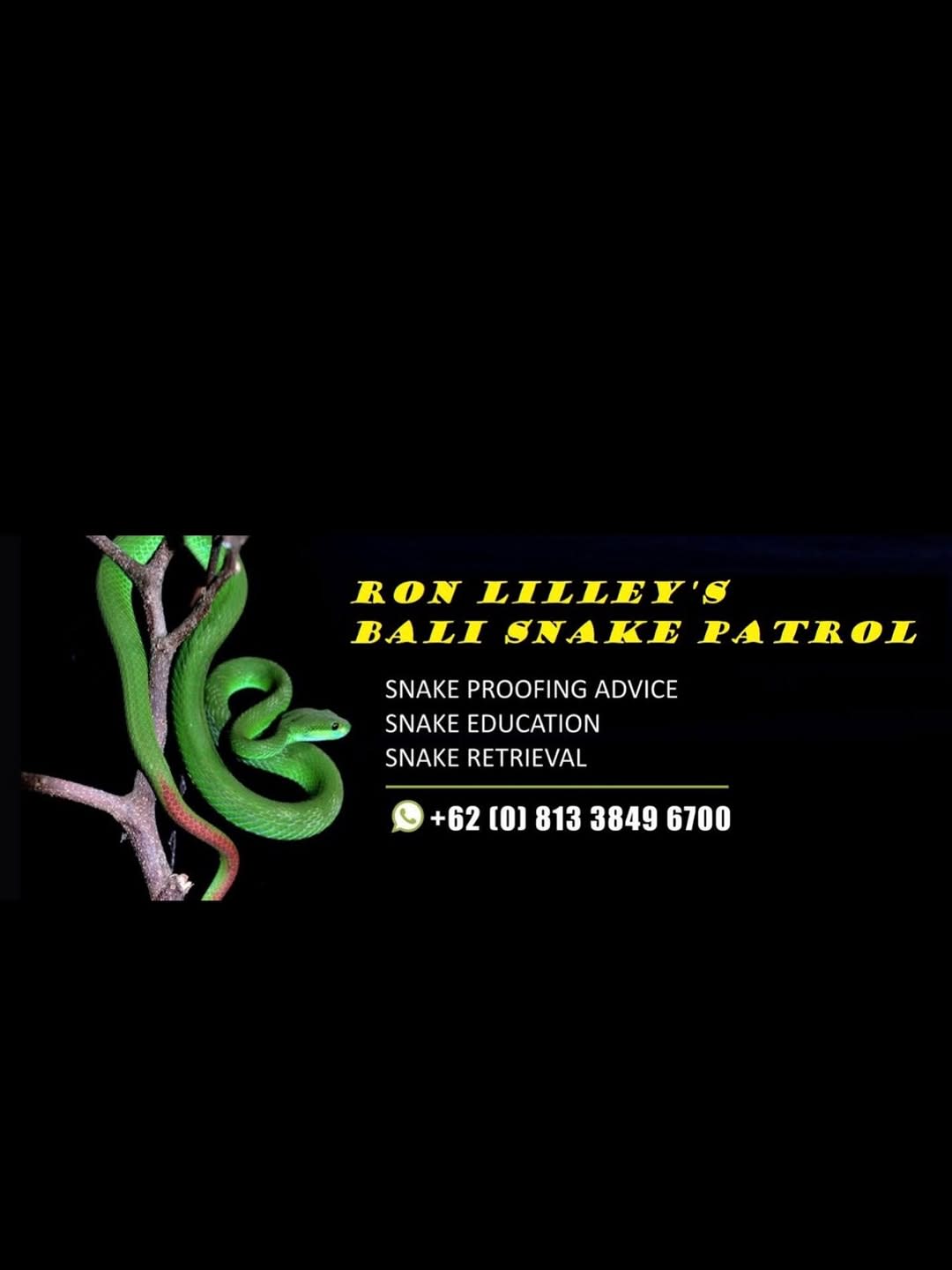 You’re on holiday in Bali… and suddenly there’s a snake in your villa 😳🐍

This actually happened t image 3