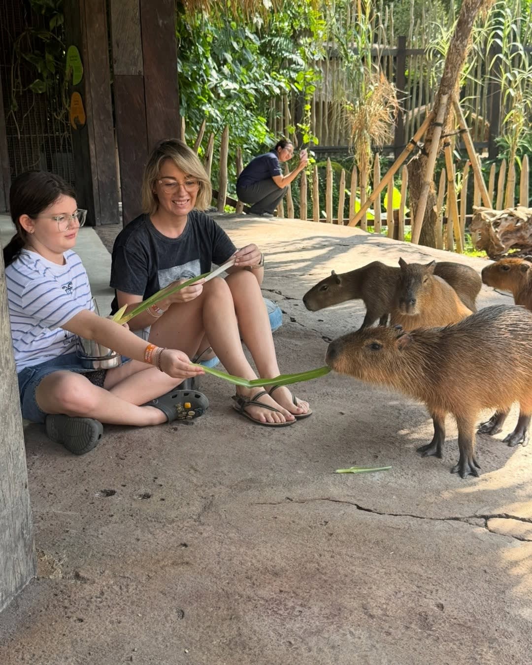 Where are you Wednesday? 🤍
Today we’re brunching with capybaras at Bali Zoo 🐾✨
Good food, coffee, image 3