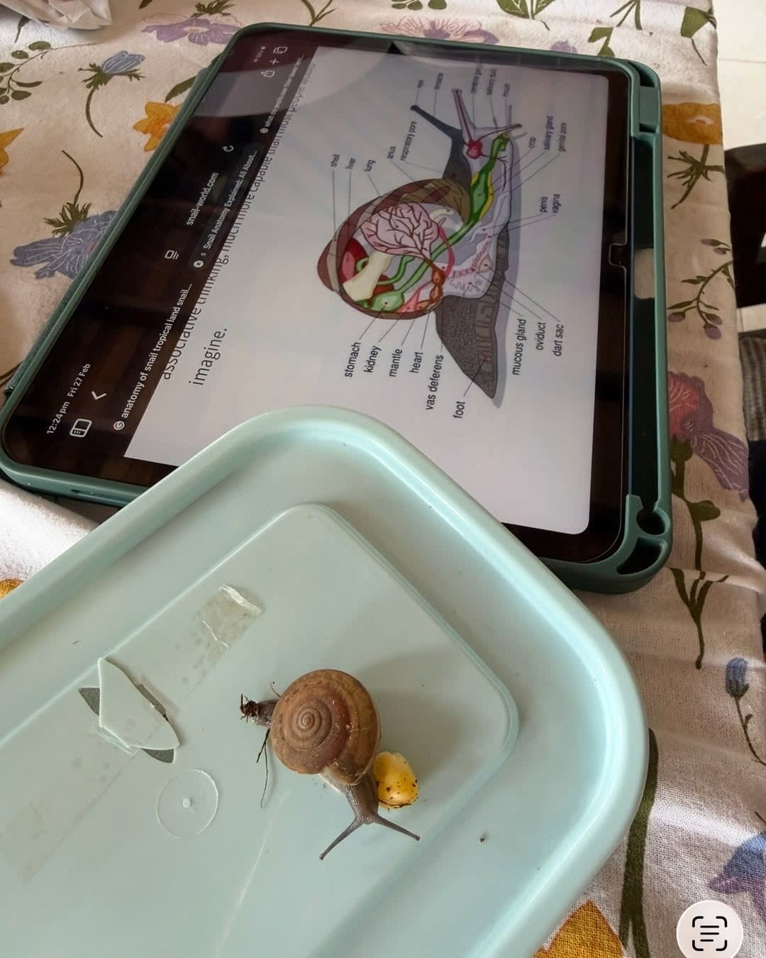 Homeschooling has a way of twisting and turning… and that’s kind of the point 🤍
It’s not about fit