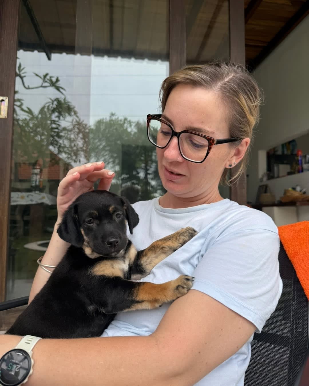 A little beach rescue update 🐶🤍
These pups were found down the beach about a month ago… barely any image 3