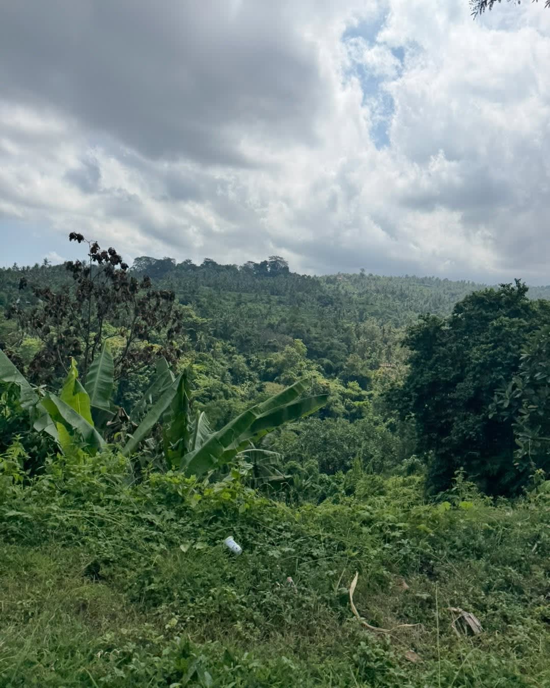 This is our favourite time of year in Bali 🤍🌴

The rainy season has done its job.

Everything is g