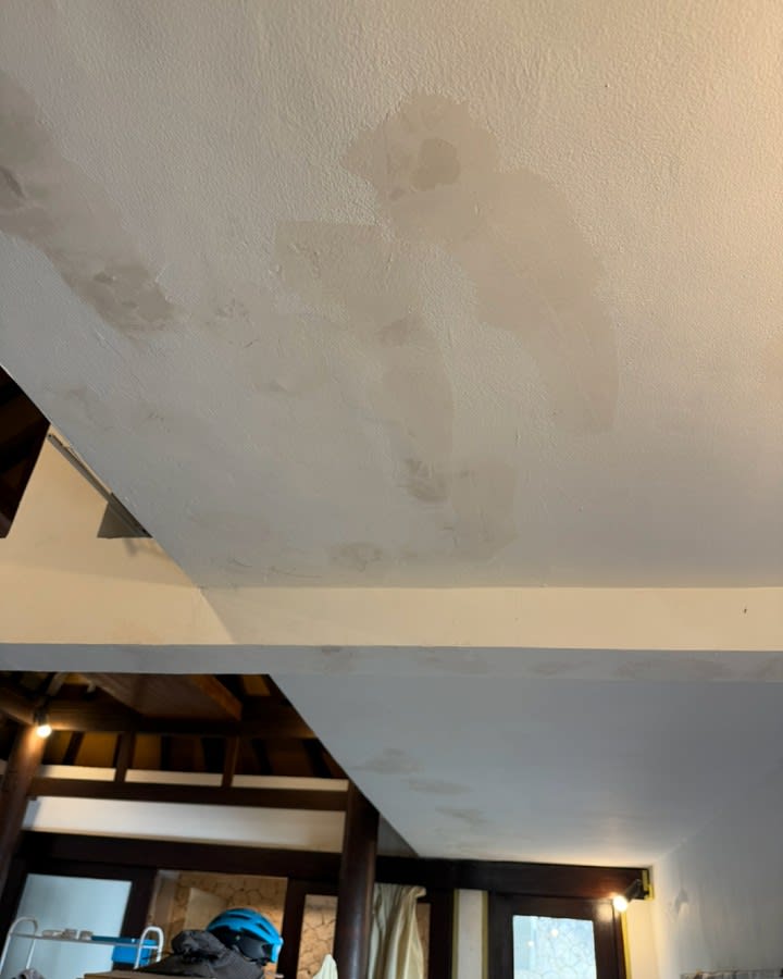 One of the less glamorous sides of living in Bali... water damage 😅🏠

If you've spent much time he image 3