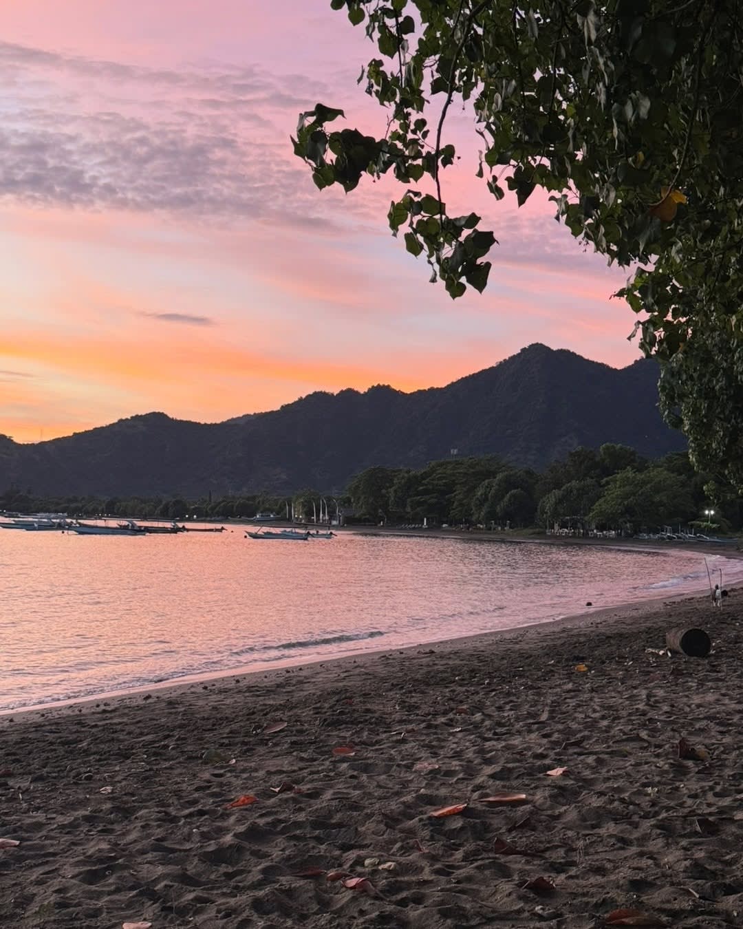🌅 I don't think I'll ever get tired of a Pemuteran sunrise.

Every single morning, the sky put on a image 3
