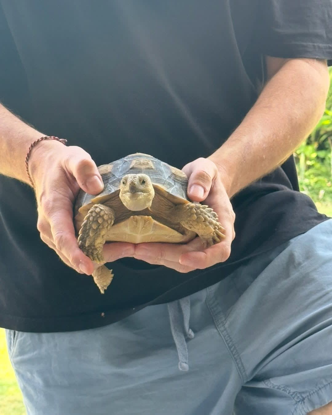 🐢 MEET SERENA... OUR VERY OWN LIVING DINOSAUR 😂🦕

One of my favourite things about living in Bali