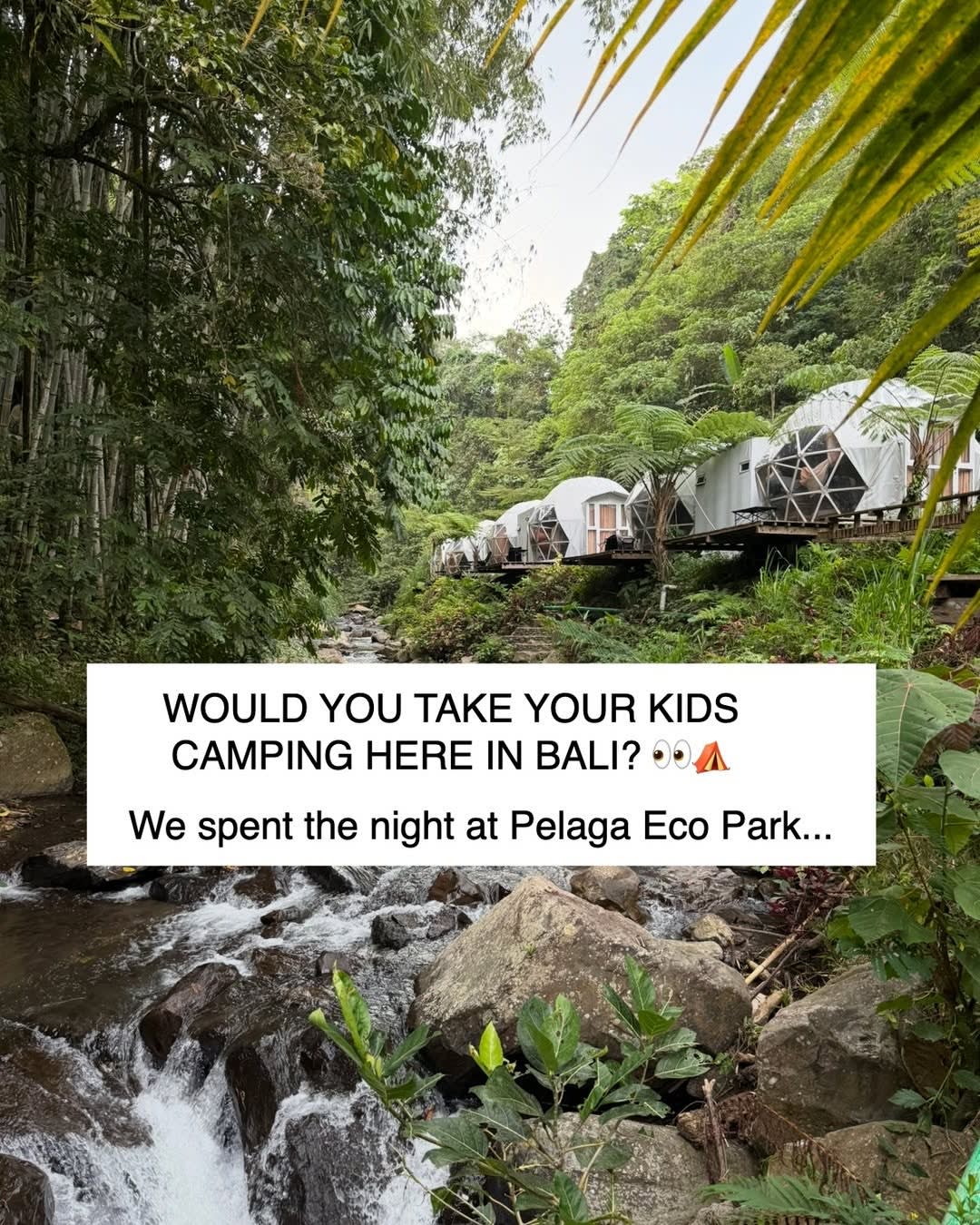 ⛺️ WOULD YOU TAKE YOUR KIDS CAMPING IN BALI? 🌴

We decided to try something a little different from image 1