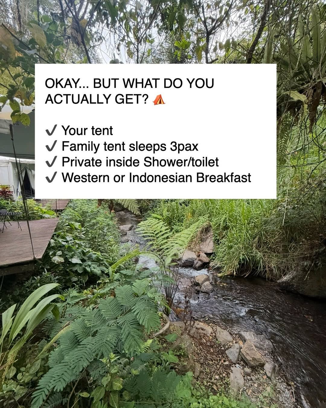 ⛺️ WOULD YOU TAKE YOUR KIDS CAMPING IN BALI? 🌴

We decided to try something a little different from image 3