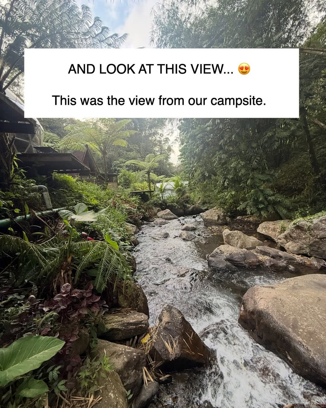 ⛺️ WOULD YOU TAKE YOUR KIDS CAMPING IN BALI? 🌴

We decided to try something a little different from image 5