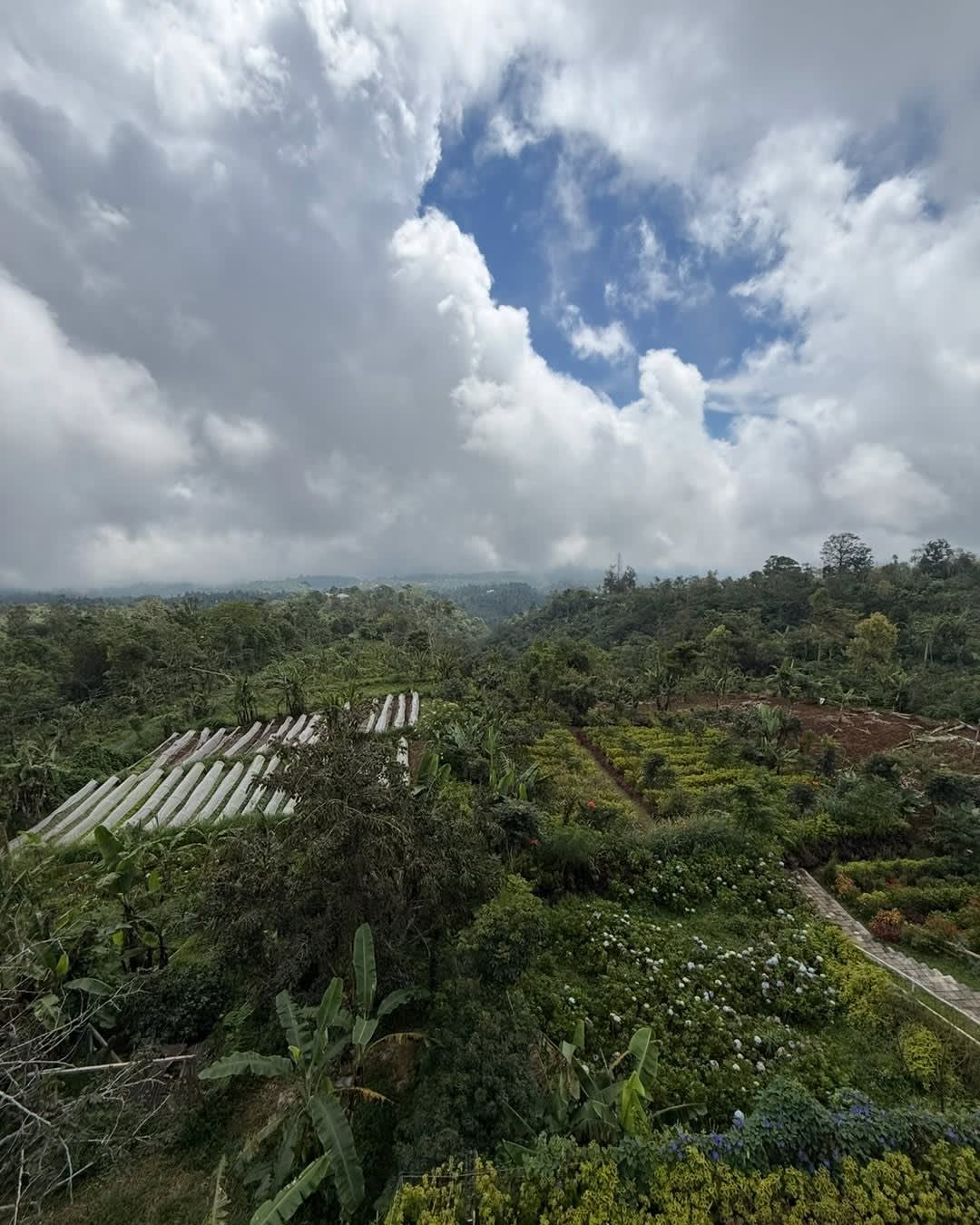 Sometimes Bali doesn't even feel real 🤍☕🌿

Endless mountain views.
Layers of mist rolling across t