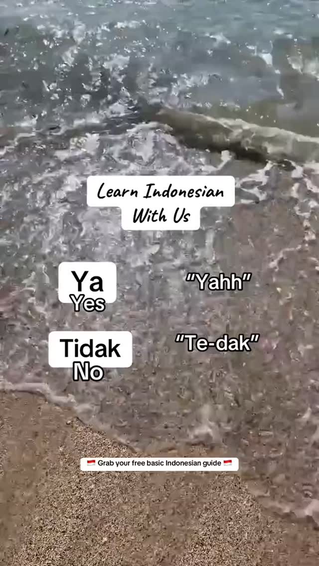 Learn Indonesian with us 👇🤍

✅ **Ya** = Yes
❌ **Tidak** = No

(pronounced: yahh & te-dak)

These a