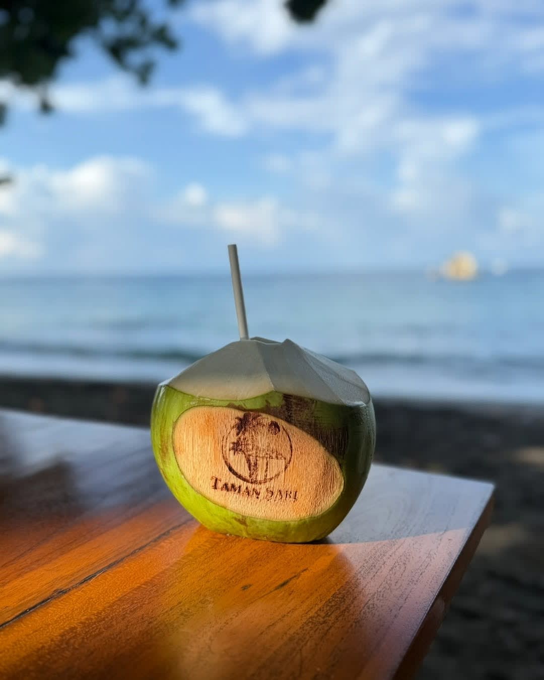 🥥 One of my local Bali friends once told me...
"With enough coconut water, anything is possible." �