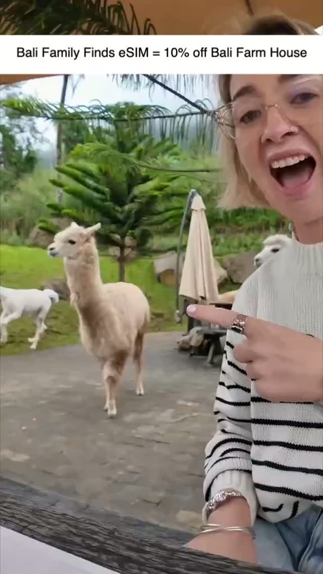 🥐🦙 Brunch with alpacas? Only in Bali!

If you're looking for a family day out that's a little diff