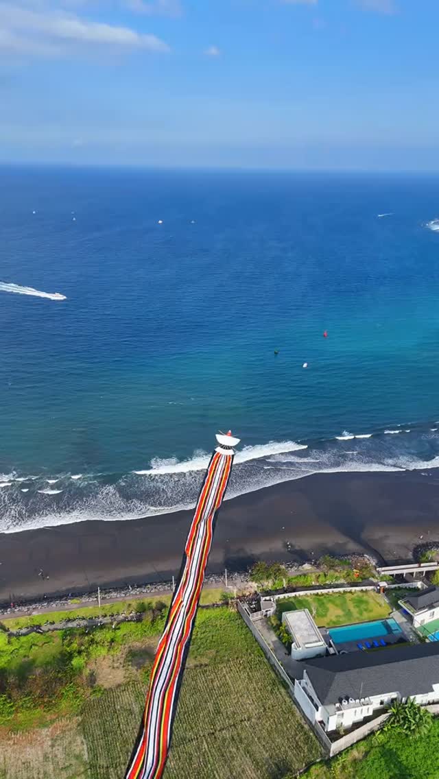🪁 If you're in Bali and you see these flying above you... look up. 👀🇮🇩

The long-tailed kites ar