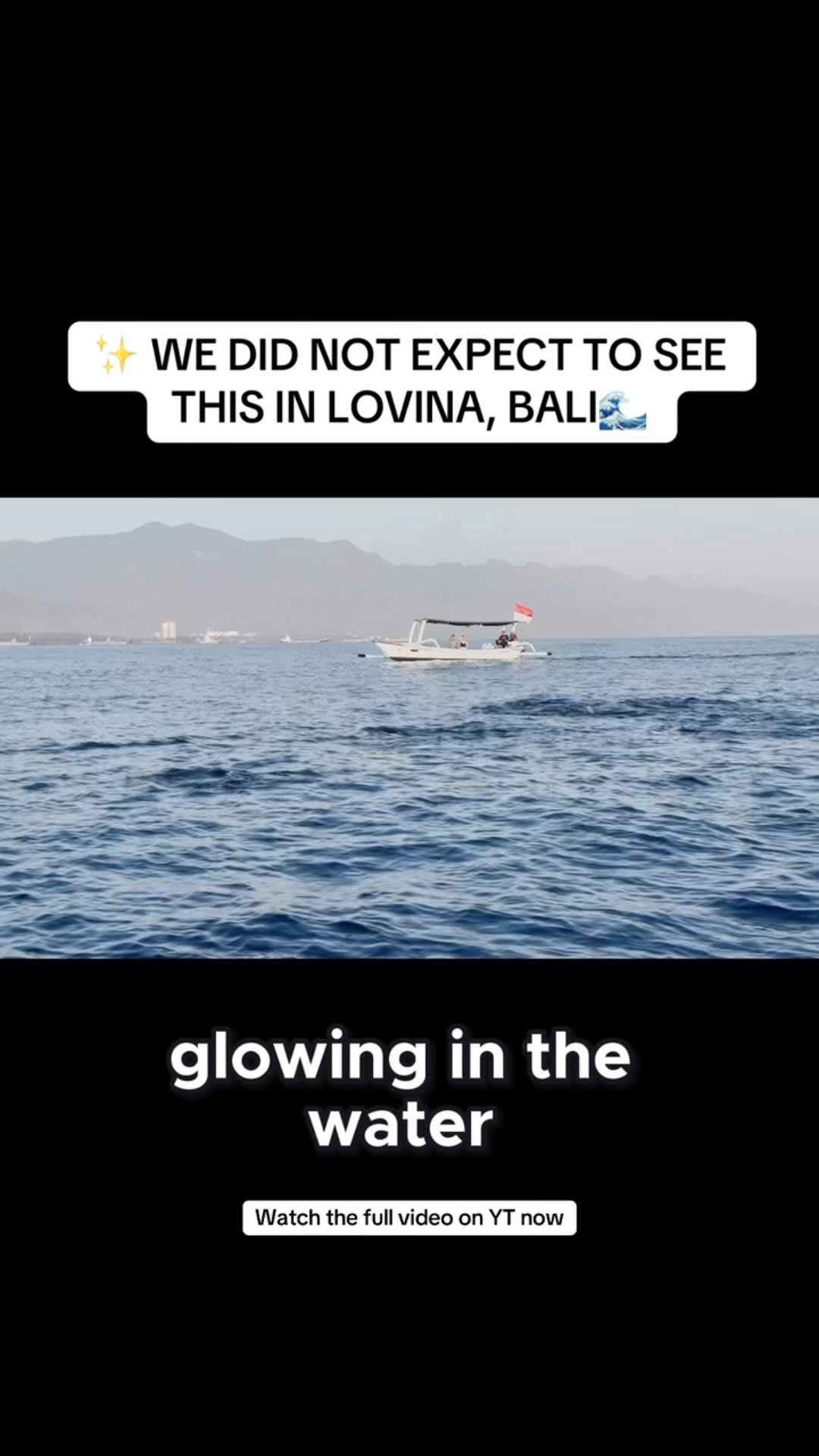 ✨ WE DID NOT EXPECT TO SEE THIS IN LOVINA… 🌊

We headed out on an early morning boat tour in Lovina