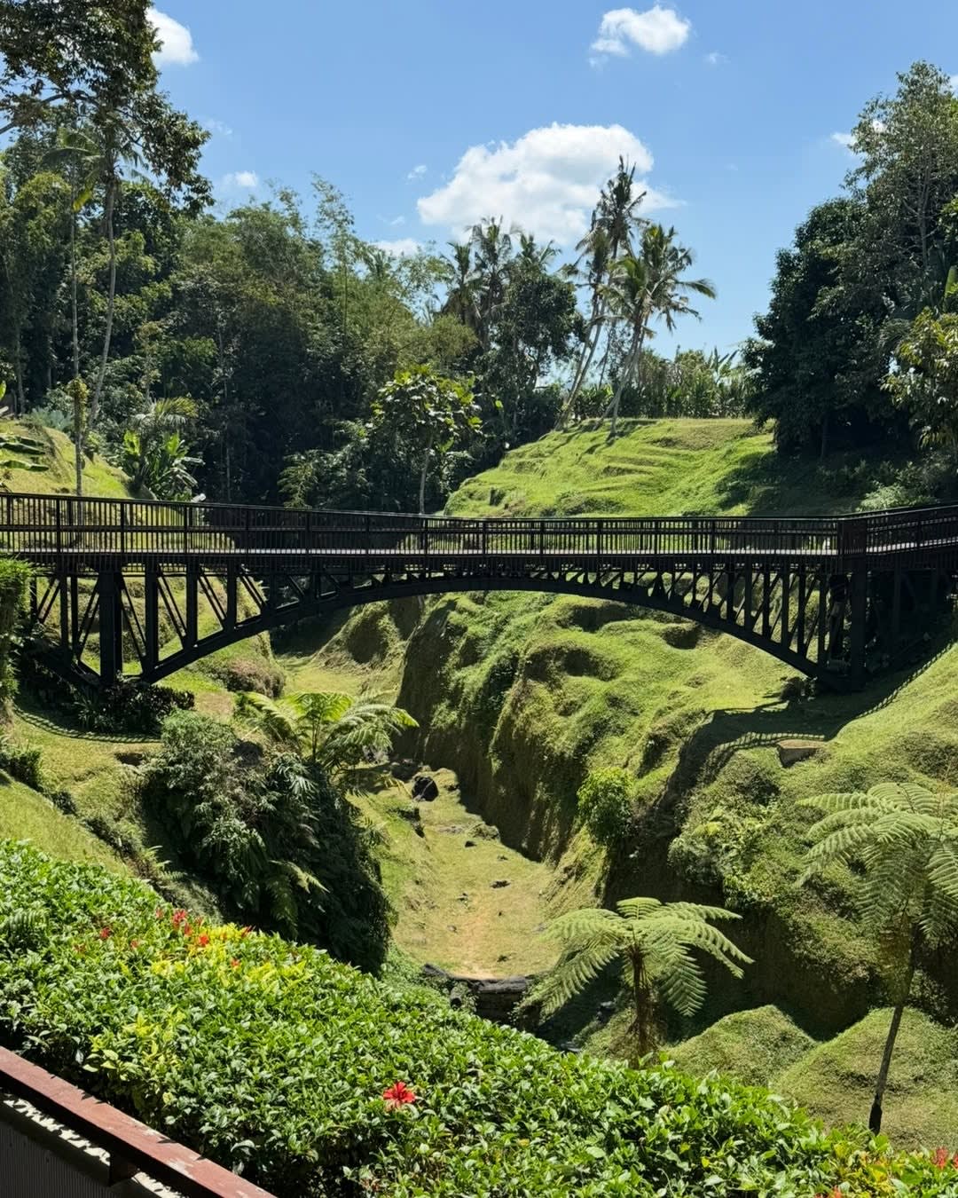 🌿 A BEAUTIFUL LITTLE STOP IN BEDUGUL ☕️📸

If you're heading through Bedugul, Secret Garden Village