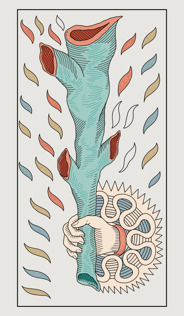 illustration de tarot — As des Bâtons