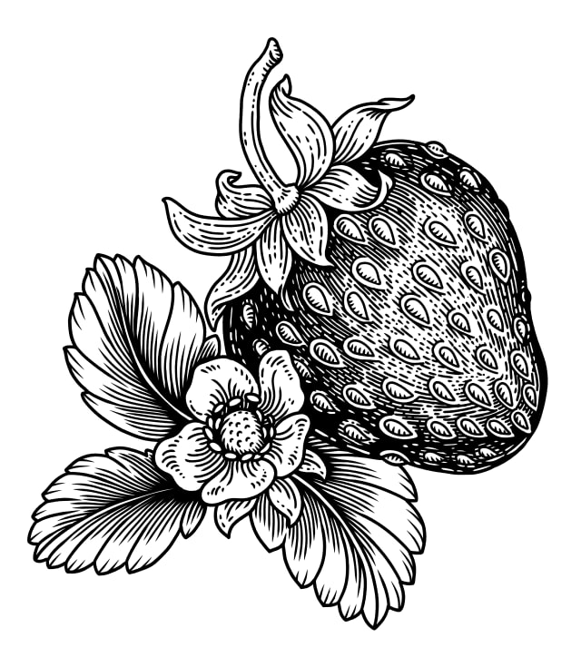 composition botanique avec fraises et feuillage