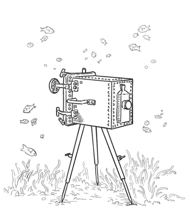 illustration au trait d'une chambre photographique sur trépied