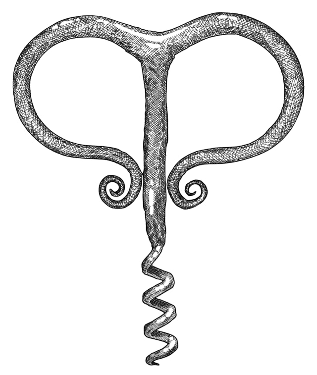 Archive — tirebouchon2