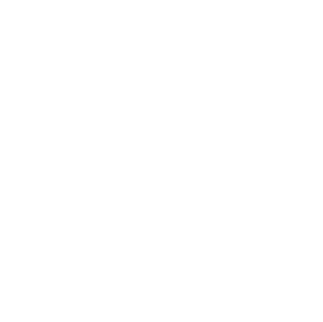Coinstore Logo