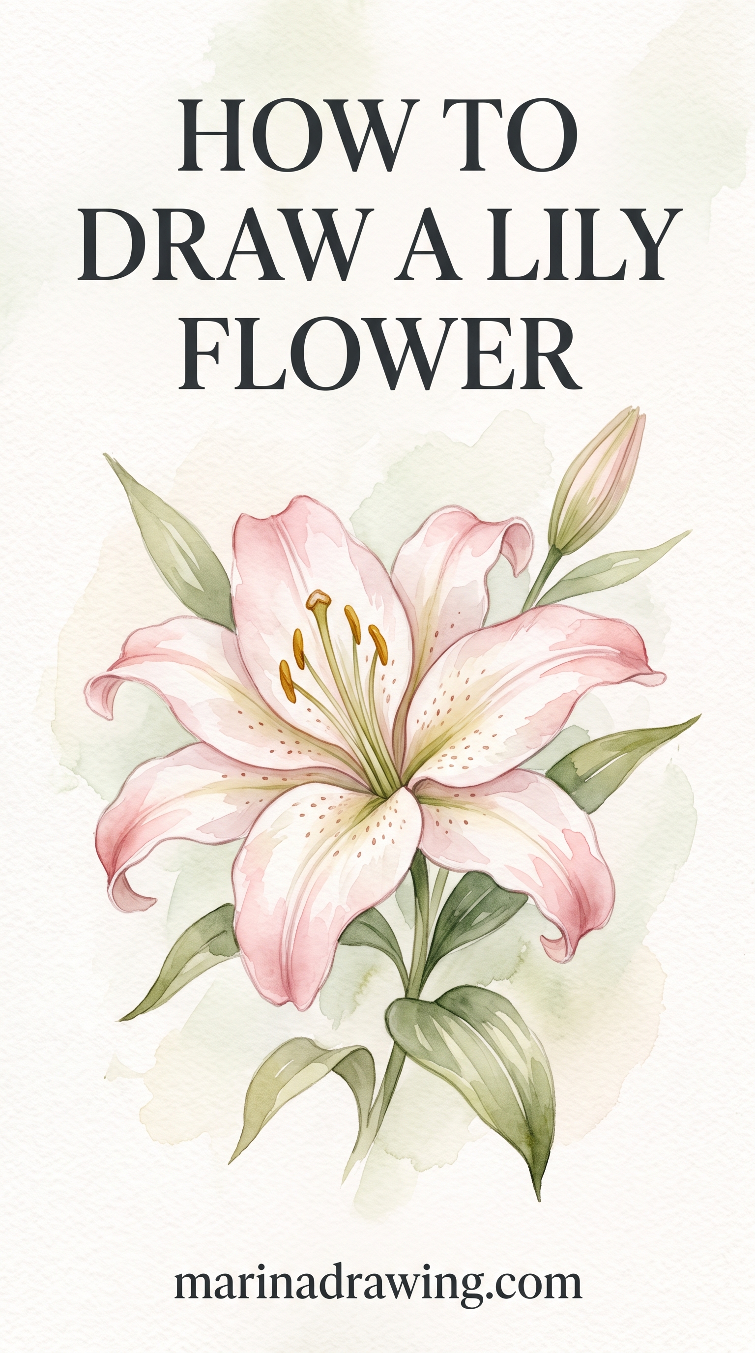 How to draw a lily flower — a pencil lily on a curved stem drawn on lined notebook paper with a butterfly and stars, similar to how to draw flowers..