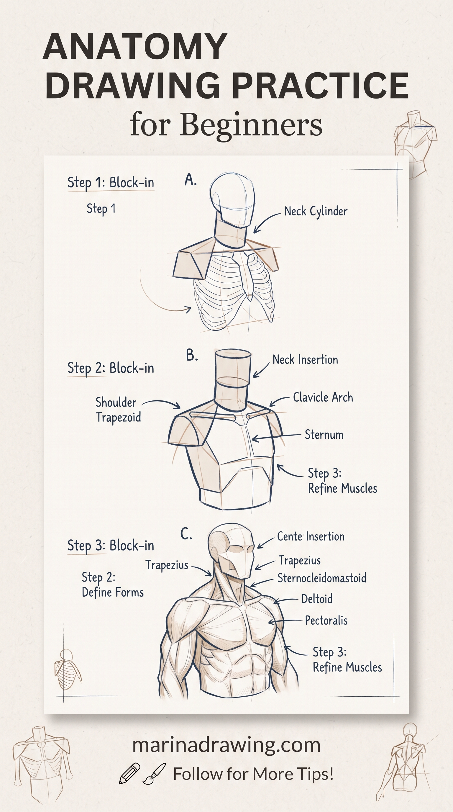Anatomy Drawing Practice: Pose, Proportion, Then Muscle