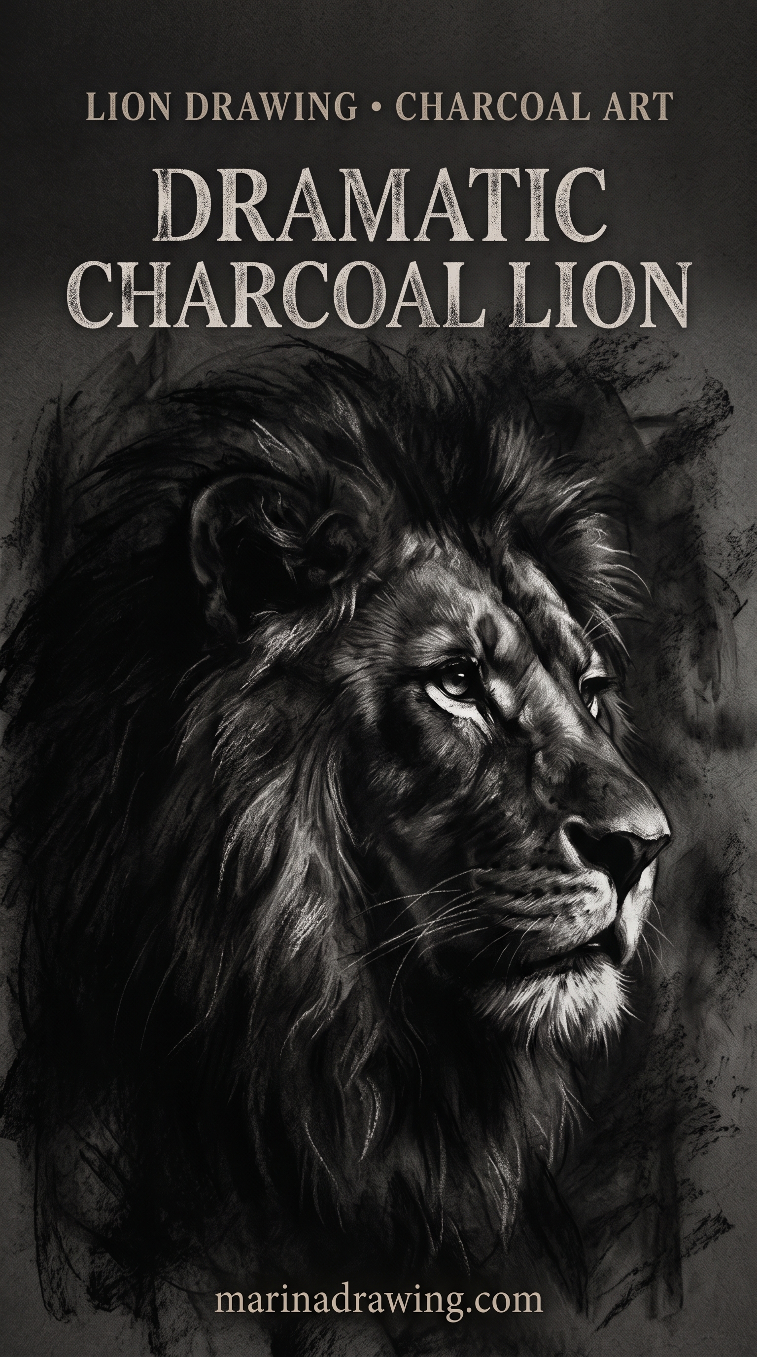Charcoal Lion Drawing With Three Separated Values