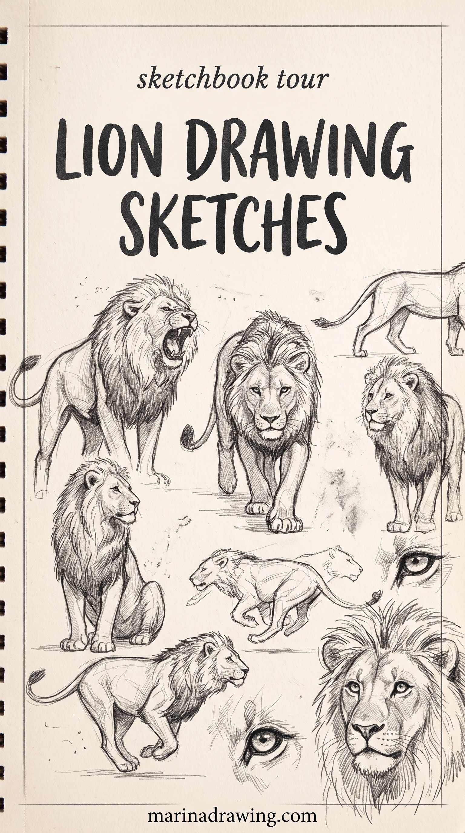 Lion Drawing Sketches for Every Skill Level