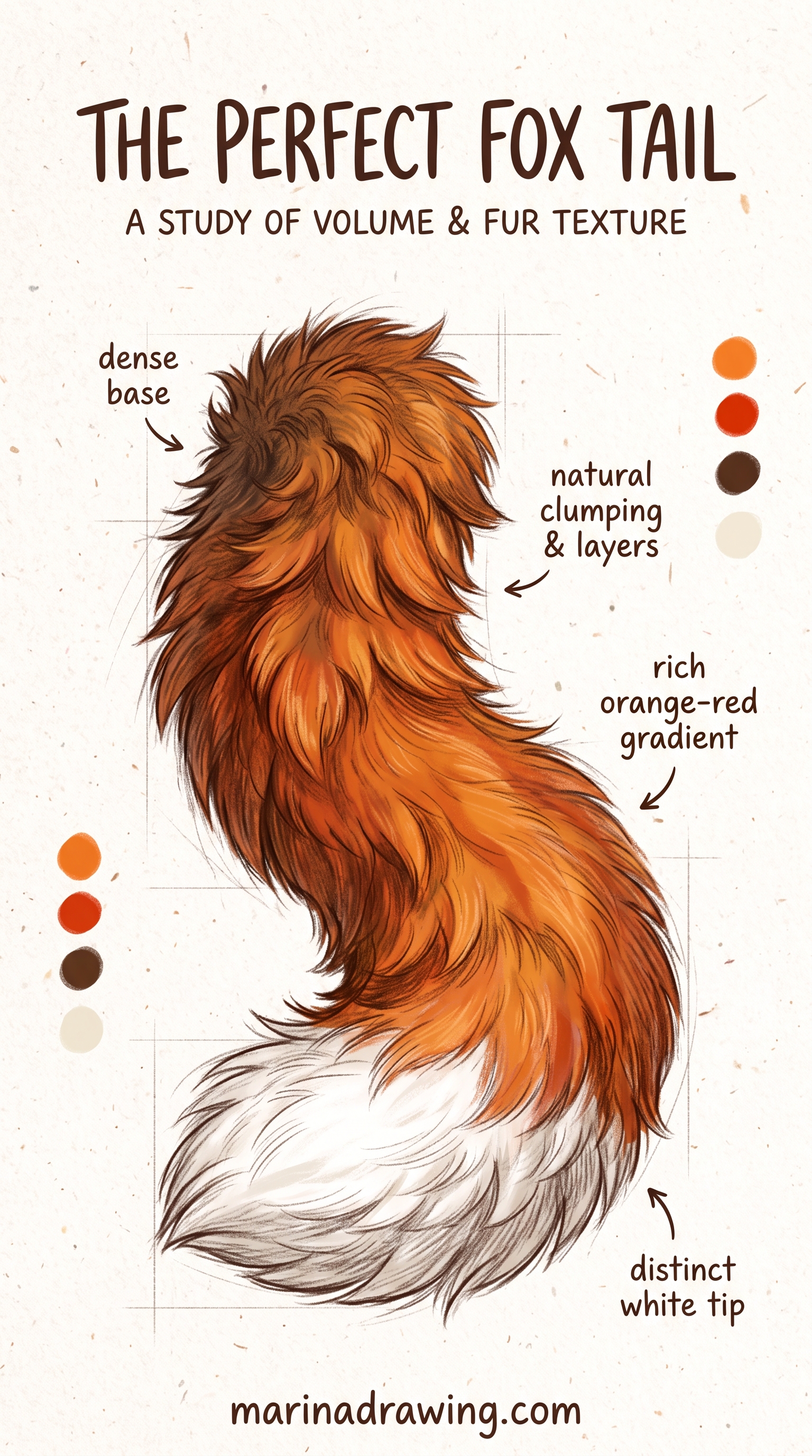 Fox Fur Drawing: Tail Study in Pencil