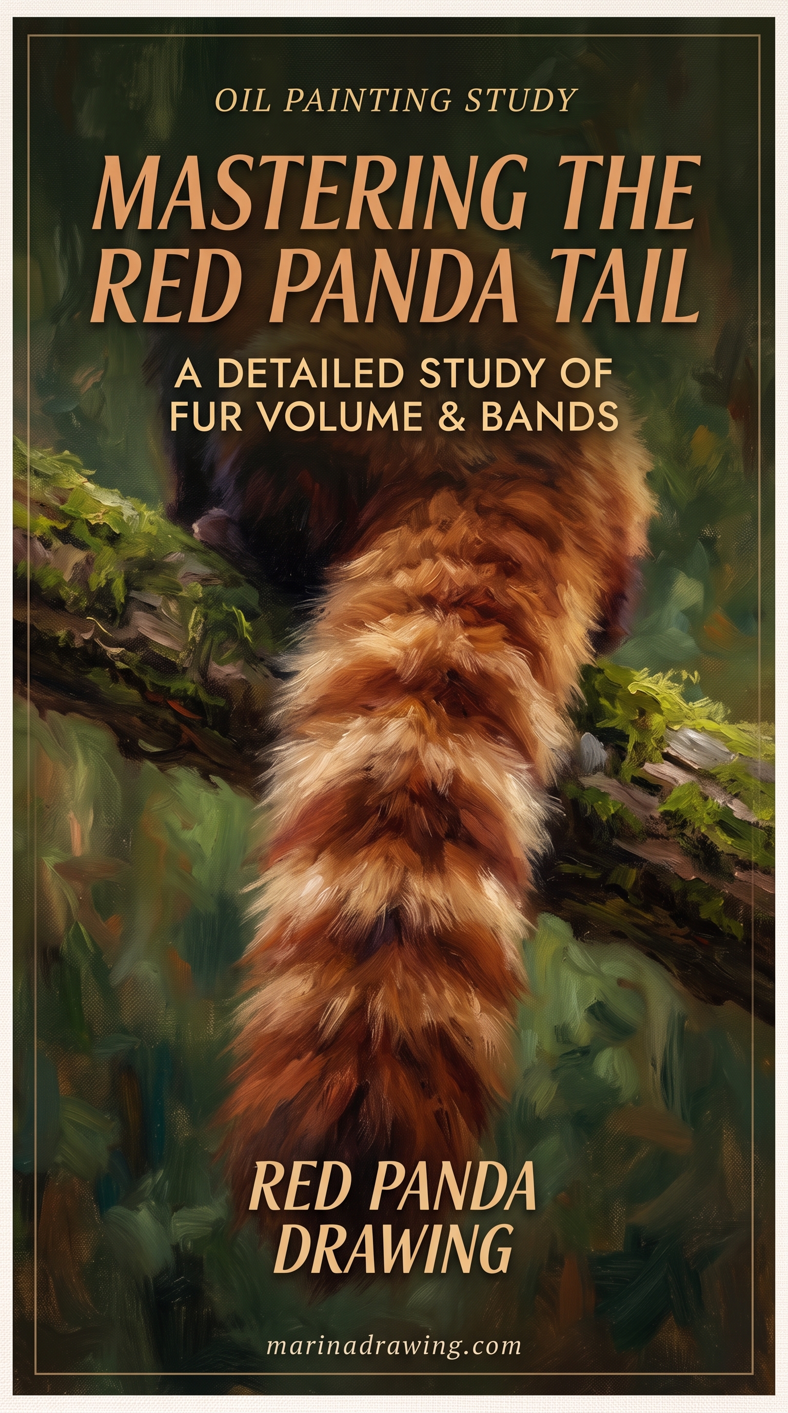Red Panda Tail Drawing, Ringed Fur Study