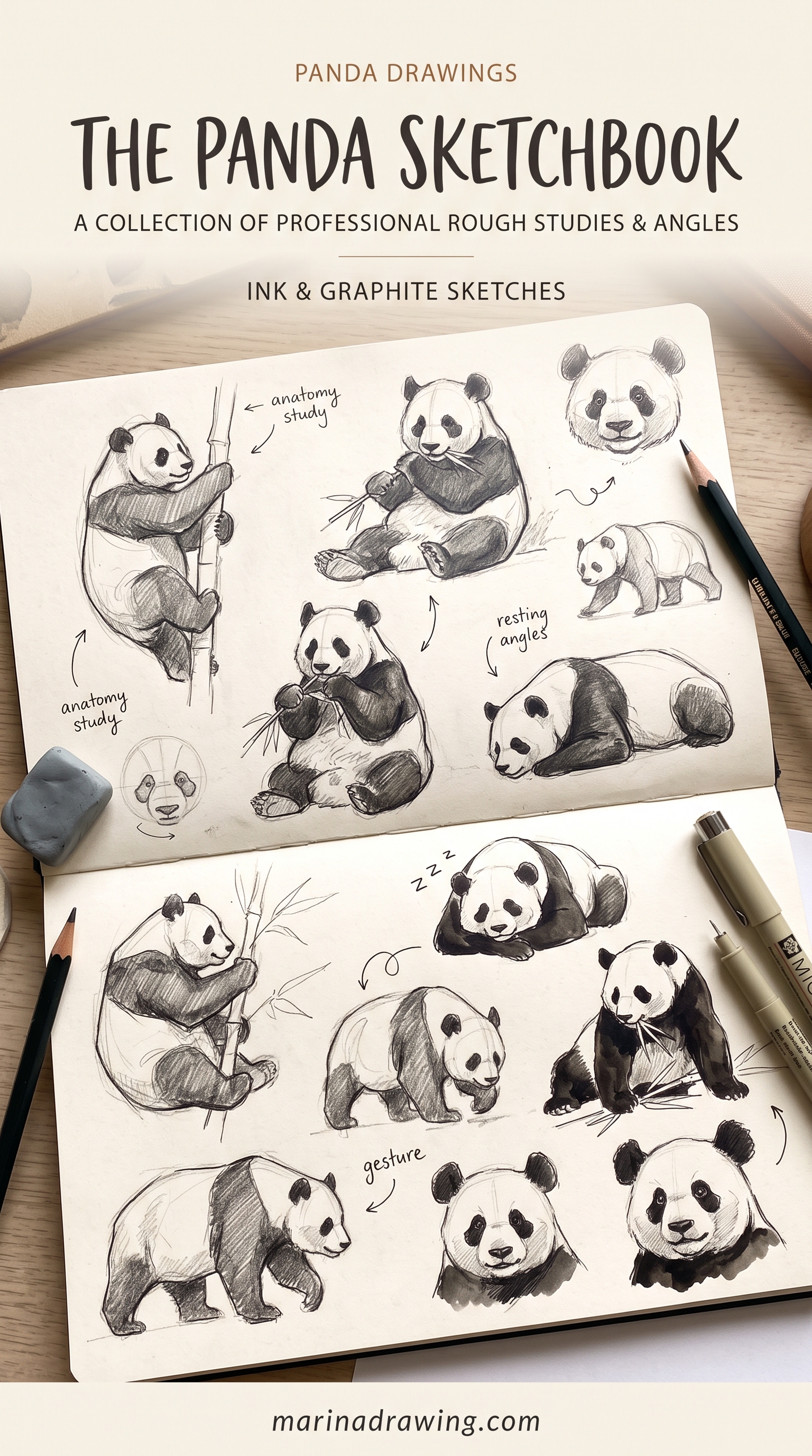 Panda Ink Drawing, Graphite Sketch Set