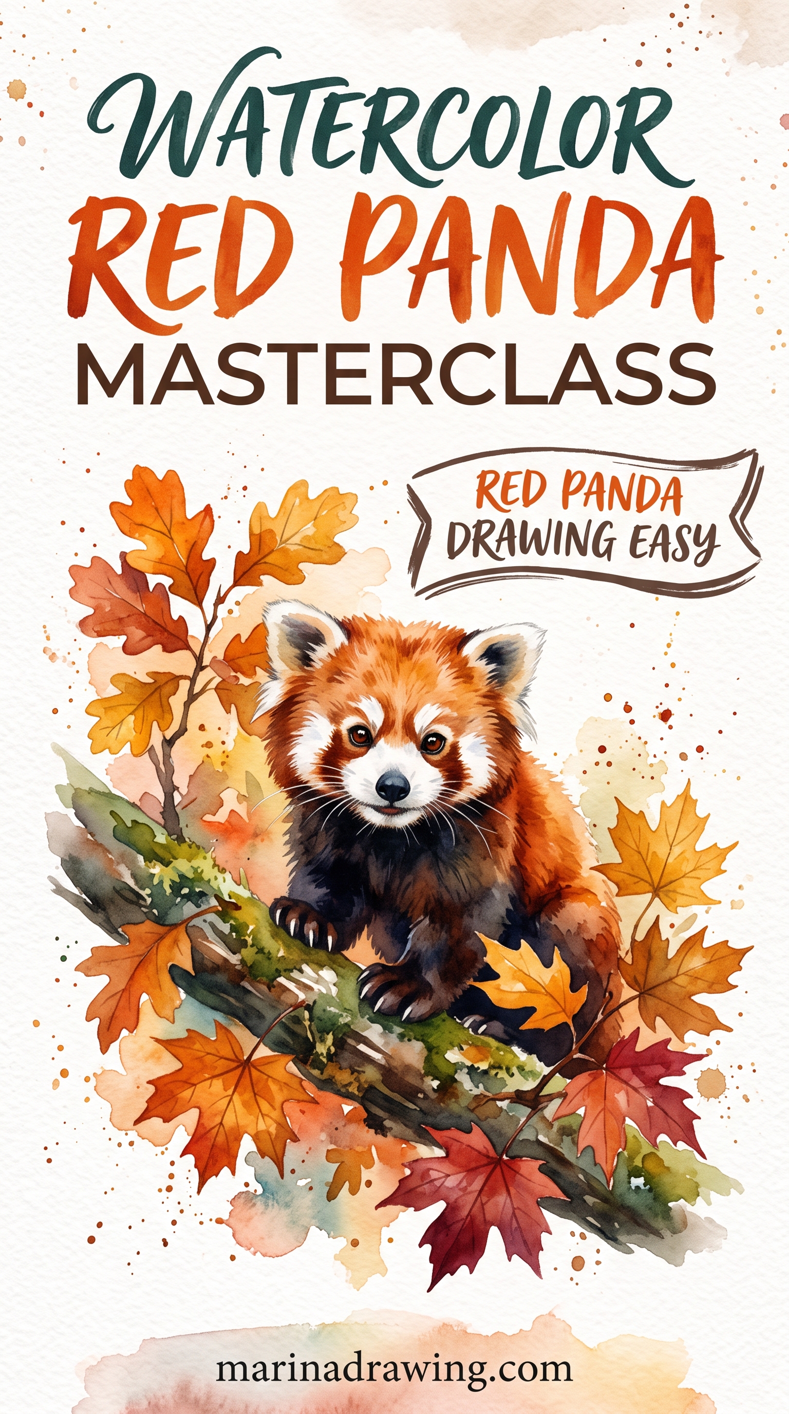 Red Panda Art in Watercolor, Mastery Study